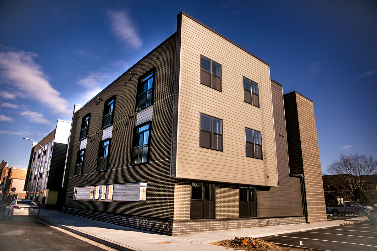 walnut3-1.jpg