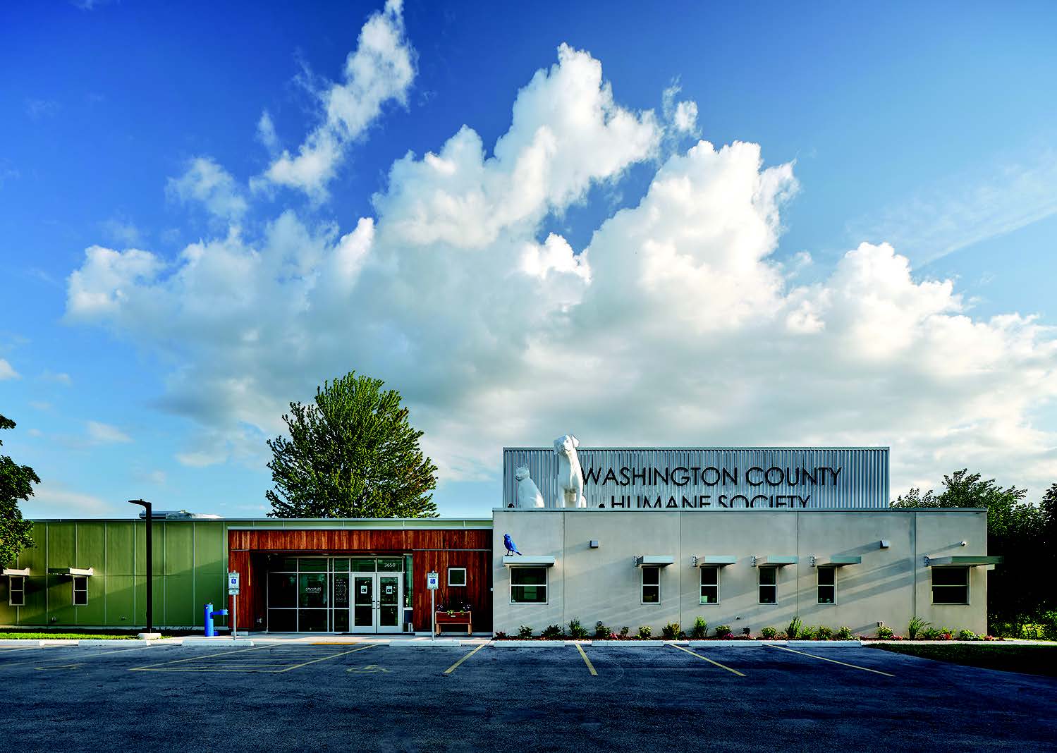 wchs2-1.jpg