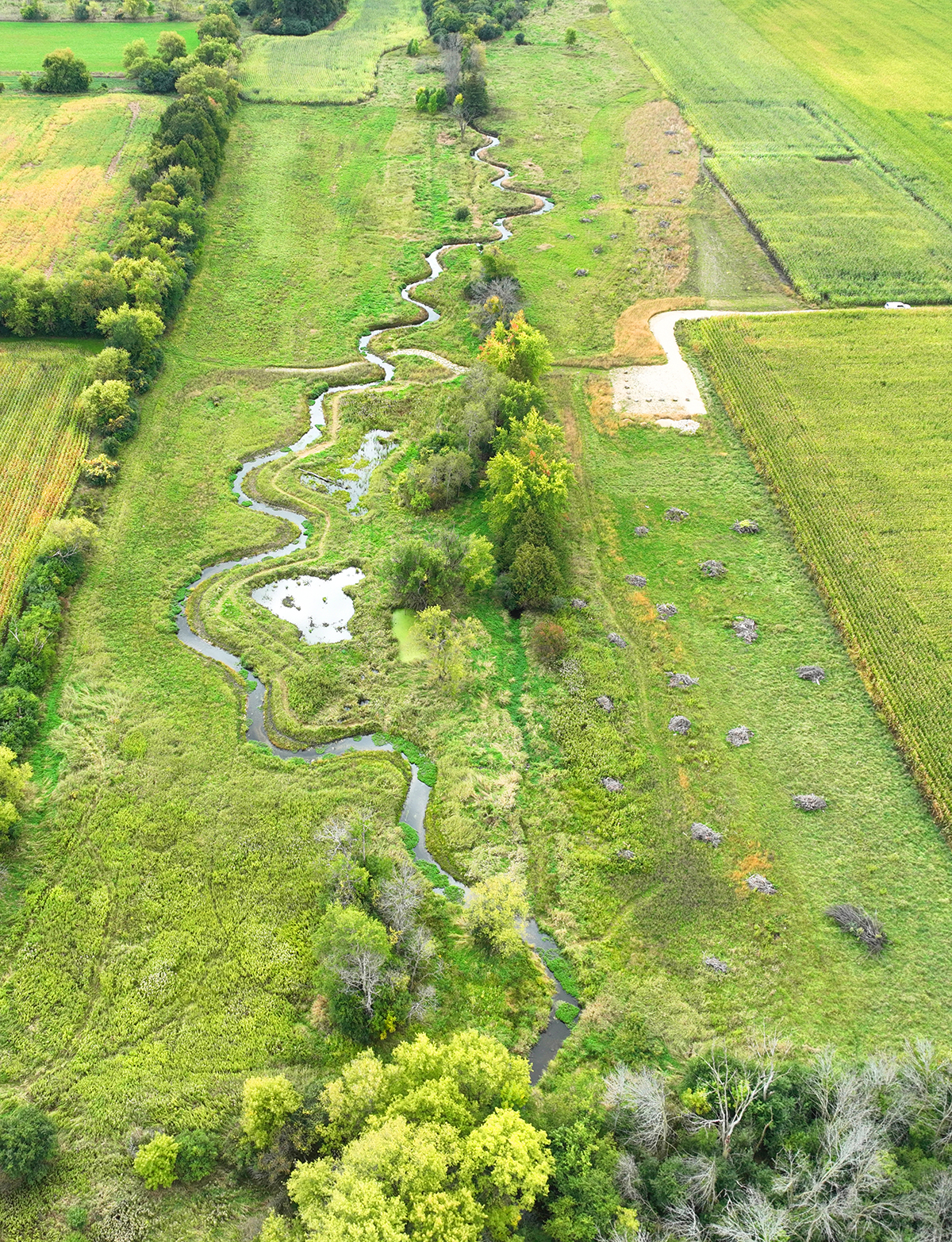 10-mason-creek-stream-restoration-274_web