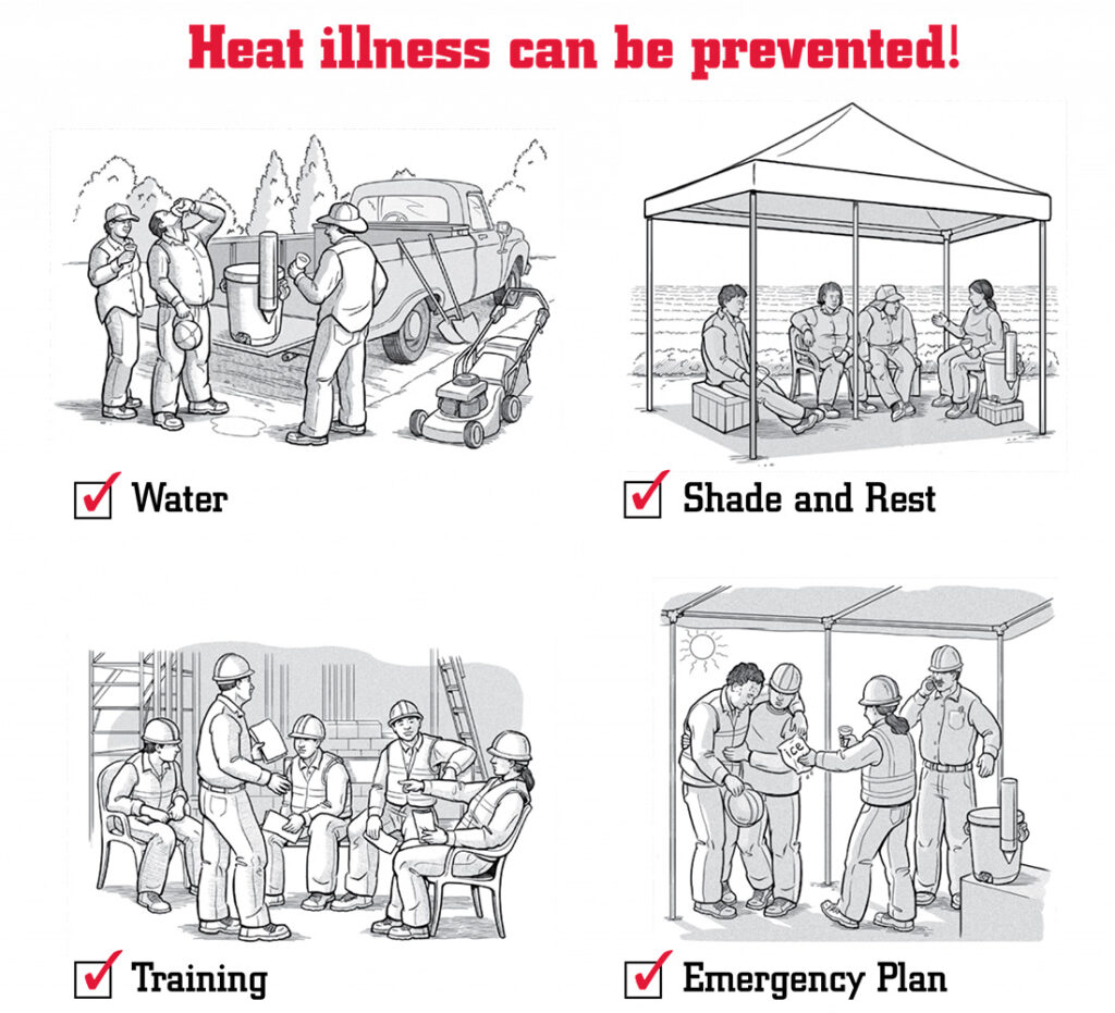 heat illness graphic