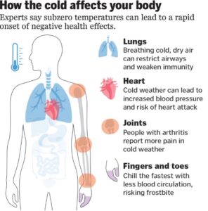 Cold and the body chart